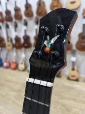 aNueNue UC200HB Humming Bird Concert_5