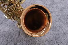YANAGISAWA A-WO2_5