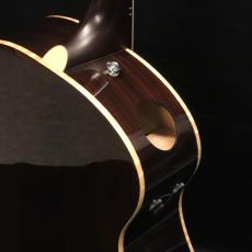 Ibanez AAM780E NT_10