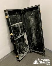 D'Angelico Deluxe Bedford SH Desert Gold【ゴージャスホロウボディ!】_9