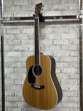 Martin D-35 Lefty '24【マーティン中古市!】【左利き用】【無金利キャンペーン】