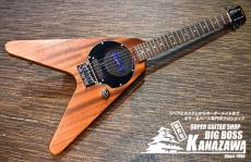 Pignose PGG-200V STBR【FVタイプのミニギター!】