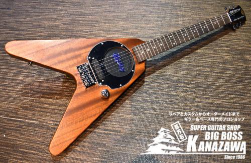 Pignose PGG-200V STBR【FVタイプのミニギター!】