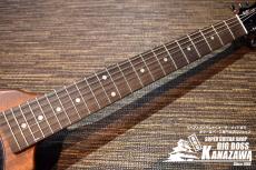 Pignose PGG-200V STBR【FVタイプのミニギター!】_3