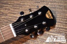 Pignose PGG-200V STBR【FVタイプのミニギター!】_4