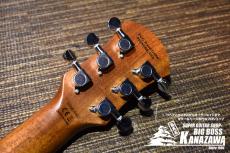 Pignose PGG-200V STBR【FVタイプのミニギター!】_5