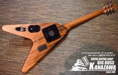 Pignose PGG-200V STBR【FVタイプのミニギター!】_6