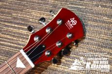 Pignose PGG-JAIL ROLL【聖飢魔II 地球デビュー40周年ロゴ】_3