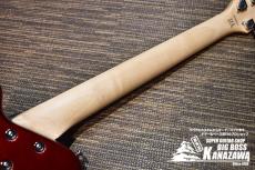 Pignose PGG-JAIL ROLL【聖飢魔II 地球デビュー40周年ロゴ】_5