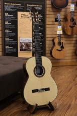 KODAIRA [小平] AST-100S【国産】【弦長650mm】