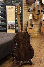 KODAIRA [小平] AST-100S【国産】【弦長650mm】_2