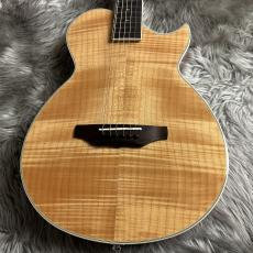 ARIA APE-100 N【現物画像】