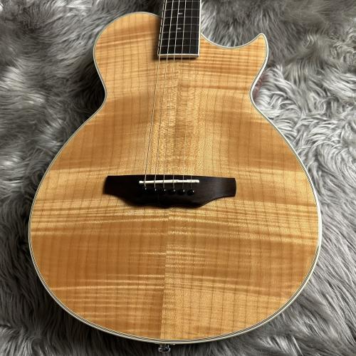 ARIA APE-100 N【現物画像】