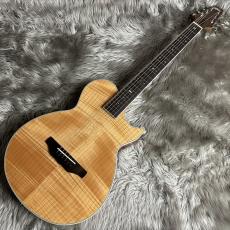 ARIA APE-100 N【現物画像】_2