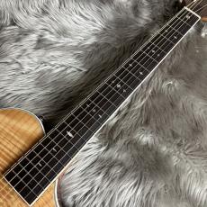 ARIA APE-100 N【現物画像】_9