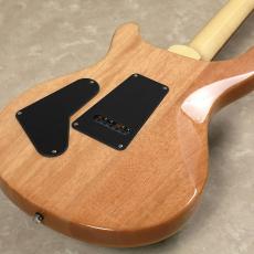 Paul Reed Smith [PRS] SE CUSTOM 24　【Slate Blue】_7