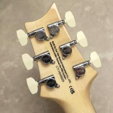 Paul Reed Smith [PRS] SE CUSTOM 24　【Slate Blue】_10