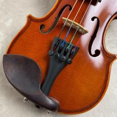 Eastman SVL80セット 1/16_3