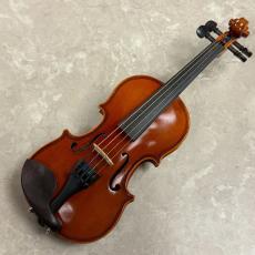 Eastman SVL80セット 1/16_6