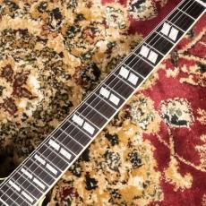 G'7 Special g7-345/MS Black Beauty【ジーセブンギター】【セミアコ】_7