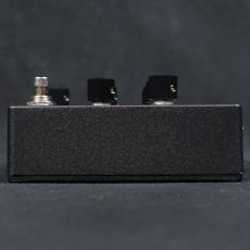 Paul Reed Smith [PRS] Wind Through The Trees_5