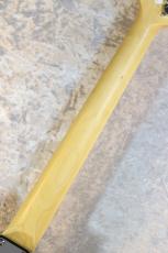 FUJIGEN BCTE100RBD 3-Tone Sunburst #D240145【3.49kg】_6