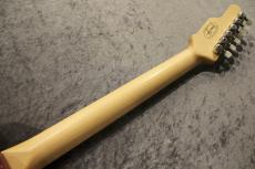 James Tyler USA Studio Elite Quilted Maple Top/Mamuyo Back Jimburst 【2006年製】【美品】【3.32kg】_10