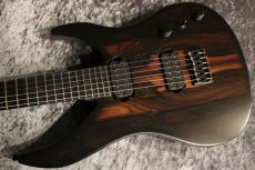 RUF Guitars Professor Series Schrdinger 6 Ziricote #SCH2024041606 【オールカーボンギター】【3.61kg】_9