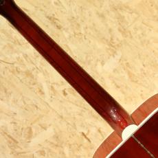 Gibson Doves In Flight_7