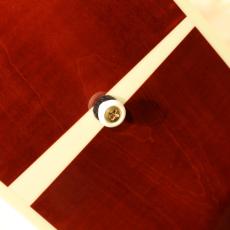 Gibson Doves In Flight_10