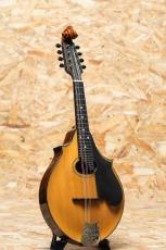 Lyon & Healy Style-A Ca.1922_3