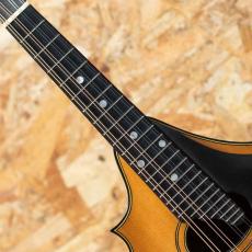 Lyon & Healy Style-A Ca.1922_6