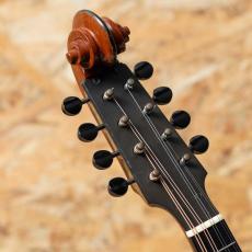 Lyon & Healy Style-A Ca.1922_8