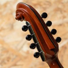 Lyon & Healy Style-A Ca.1922_9