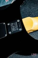 Paul Reed Smith [PRS] CE24 Black Cherry (Wide Thin Neck) / 1995_8