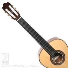 ASTURIAS Prelude/S 630mm【48回無金利対象品】_6