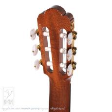 ASTURIAS Prelude/S 630mm【48回無金利対象品】_9