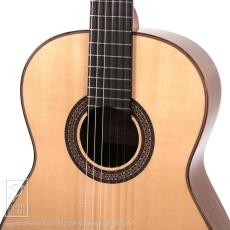 ASTURIAS Prelude/S 630mm【48回無金利対象品】_10