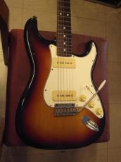 FUJIGEN (FGN) SNST101