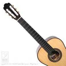 ASTURIAS Custom/S 630mm【48回無金利対象品】_6