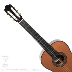 ASTURIAS Custom/C 630mm【48回無金利対象品】_6