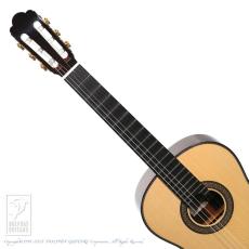 ASTURIAS Renaissance/S 630mm【48回無金利対象品】_6