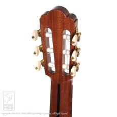 ASTURIAS Renaissance/S 630mm【48回無金利対象品】_9