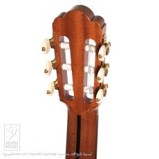 ASTURIAS Renaissance/C 630mm【48回無金利対象品】_9