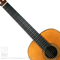 Masaki Sakurai Concert-R 杉 630mm【48回無金利対象品】_5