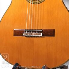 Masaki Sakurai Concert-R 杉 630mm【48回無金利対象品】_10