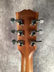 Gibson Generation Collection G-200EC_5