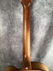 Gibson Generation Collection G-200EC_6