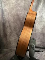 Gibson Generation Collection G-200EC_8