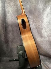 Gibson Generation Collection G-200EC_9